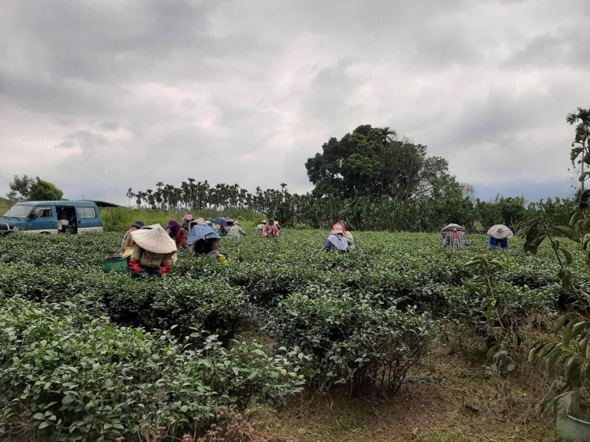 Dong Li Tea Homestay 瑞穂郷 エクステリア 写真